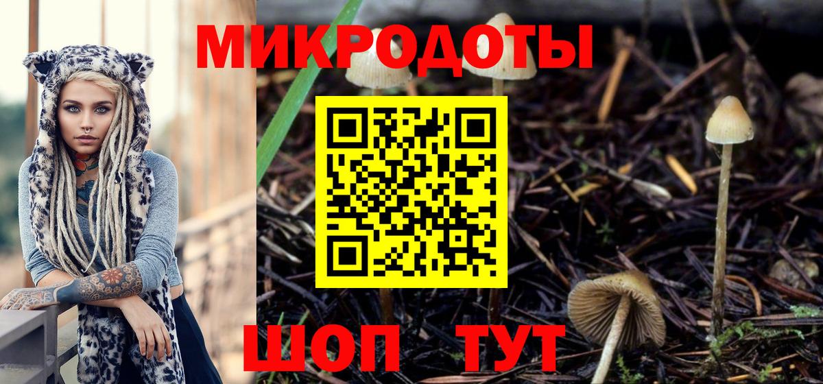 Псилоцибиновые грибы Magic Shrooms Большой Камень